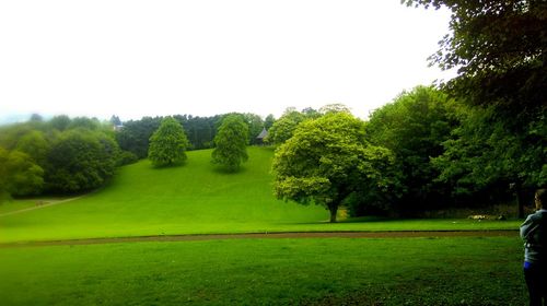 Scenic view of grassy field against sky