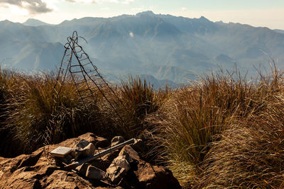 Plants growing on land against mountains