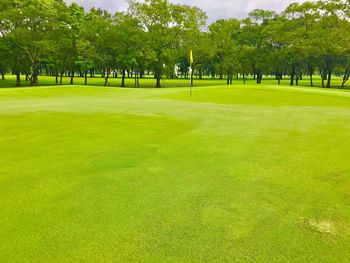 View of golf course