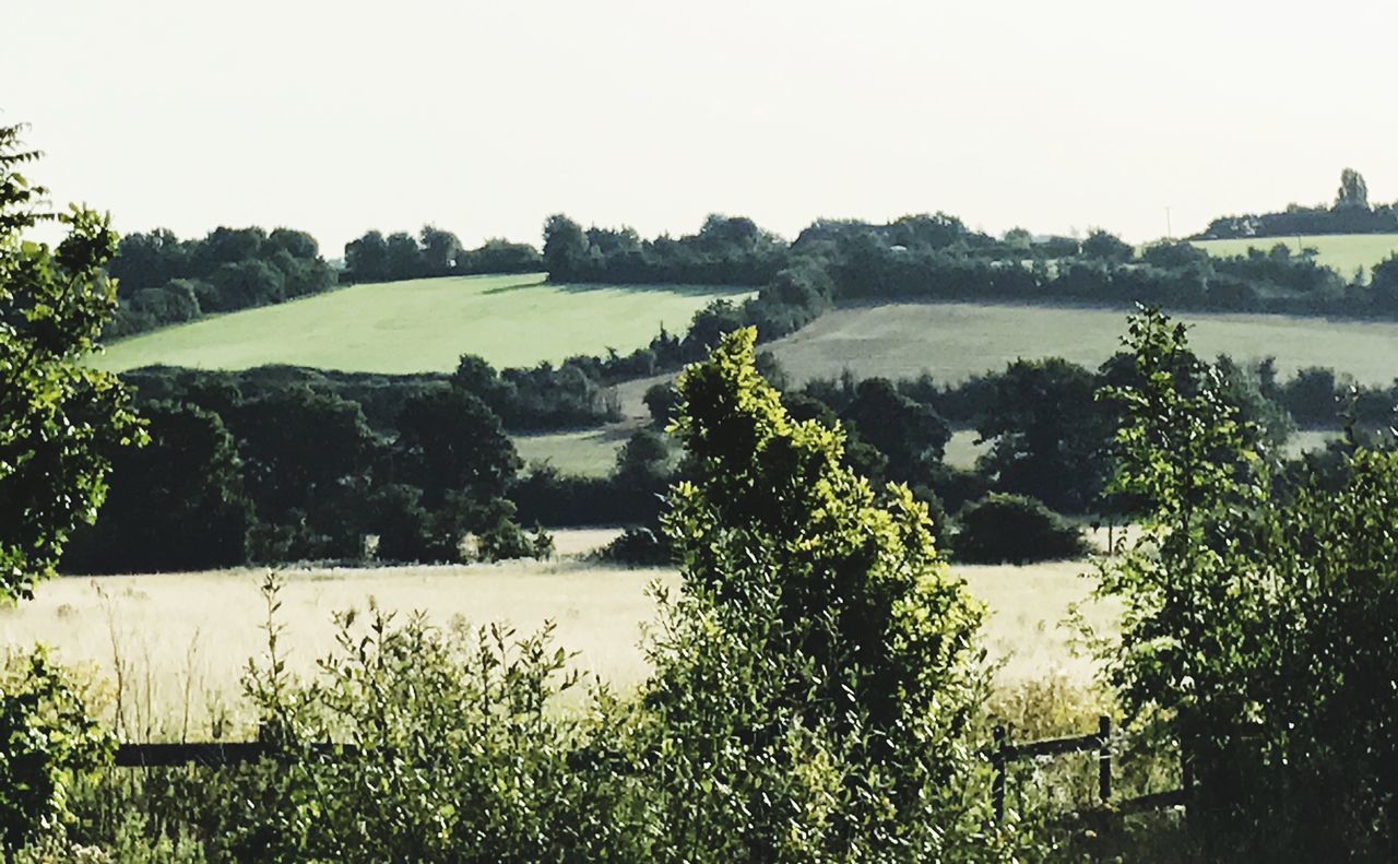 Clayton Hill, Nazeing