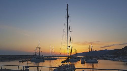 Sailboats in marina at sunset