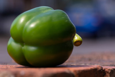 Close-up of a pepper