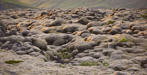 Surface level of rocks