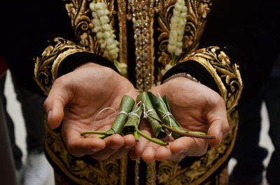 Midsection of man holding tied leaves