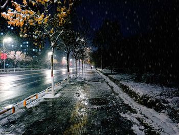 Wet street amidst trees during winter at night