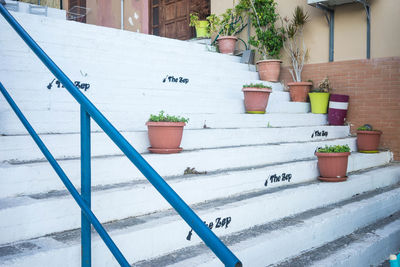 Potted plants on steps