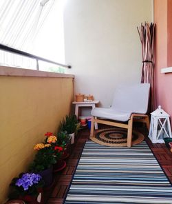 Potted plant on table at home