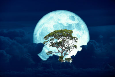 earth