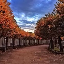 Footpath amidst trees against cloudy sky