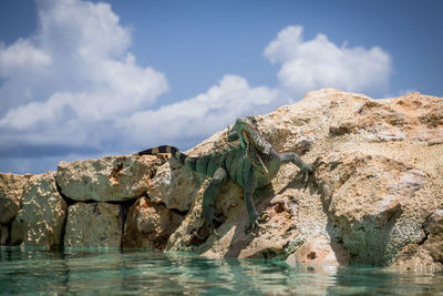 Rock formation in sea against sky