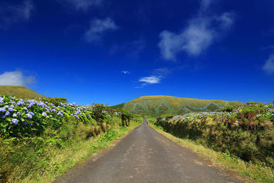 Road amidst green landscape against blue sky