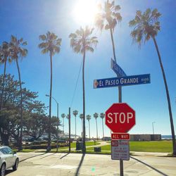 Low angle view of road sign