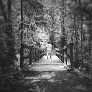 People walking on footbridge in forest