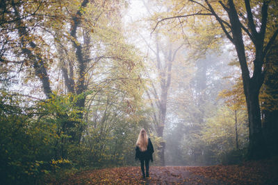 Rear view of woman walking in forest during autumn