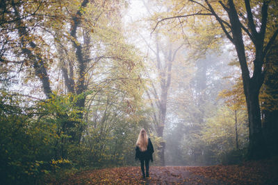 Rear view of young woman standing in forest