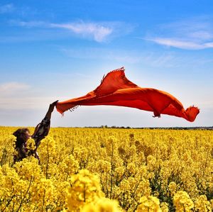 Scenic view of field against cloudy sky