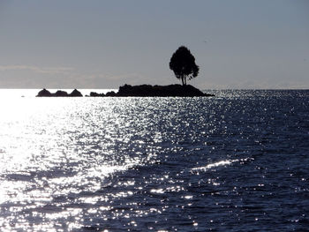 Silhouette of birds in sea against sky