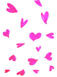 Close-up of pink flower