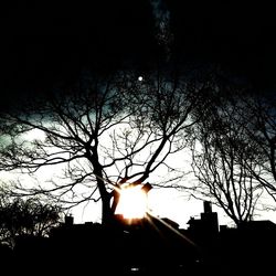Low angle view of bare trees against sky at sunset