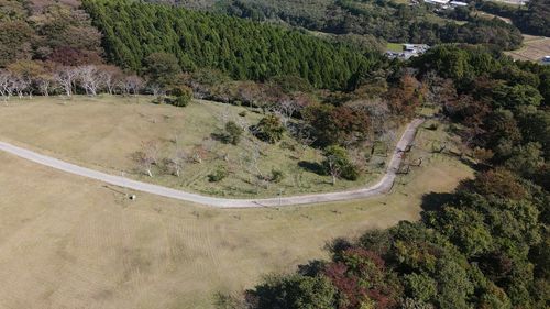 High angle view of road amidst trees in forest