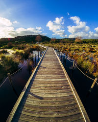 Narrow walkway along plants on land against sky