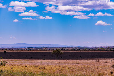 horizon