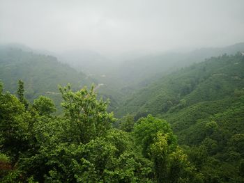 Scenic view of tree mountains against sky