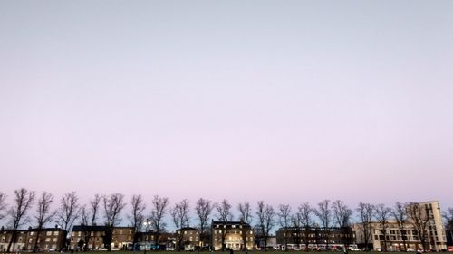 Panoramic view of trees against sky