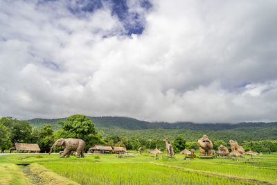 Chiang mai, thailand - 16 july 2022 - rice fields with man-made straw animals at huay tung tao