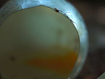 Close-up of water drops on pipe