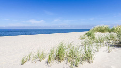 Sand dunes beach with scenic view