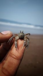 Close-up of human hand against blurred background