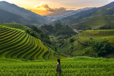 High angle view of girl standing on terraced field during sunset