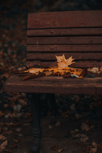 Autumn yellow dry maple leaves lying on a wooden bench in a park in the forest