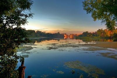 Reflection of trees in lake