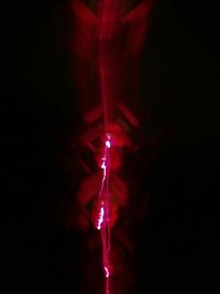 Illuminated red lights at night