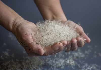 Cropped hand of person holding seashell