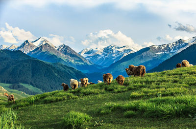 Scenic view of mountains against sky