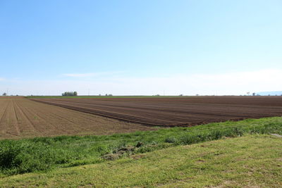 Scenic view of agricultural field against sky