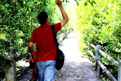 Rear view of man walking in park