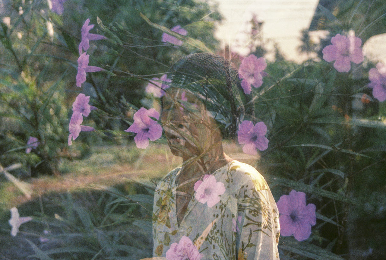 plant, flower, flowering plant, growth, nature, fragility, beauty in nature, vulnerability, freshness, pink color, day, close-up, focus on foreground, outdoors, one person, flower head, inflorescence, selective focus, petal