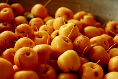 Close-up of tomatoes for sale