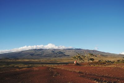 Scenic view of landscape against blue sky