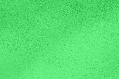 Macro shot of green wall