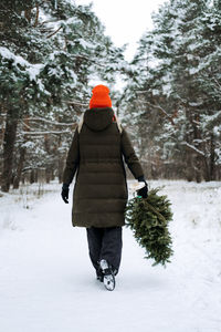 Back view of woman in red hat carrying christmas tree and walkng in snow winter park. preparing for