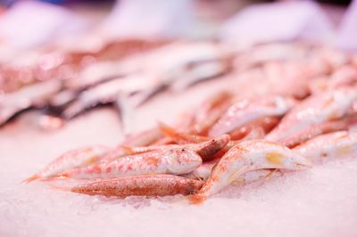 Close-up of fish for sale in market