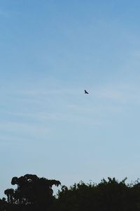 Low angle view of silhouette bird flying against clear sky