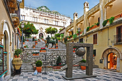 Potted plants outside building in city