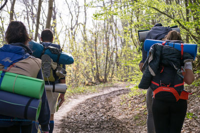 Rear view of people walking in forest