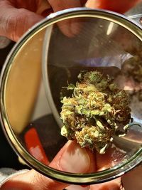 Close-up of hand holding food